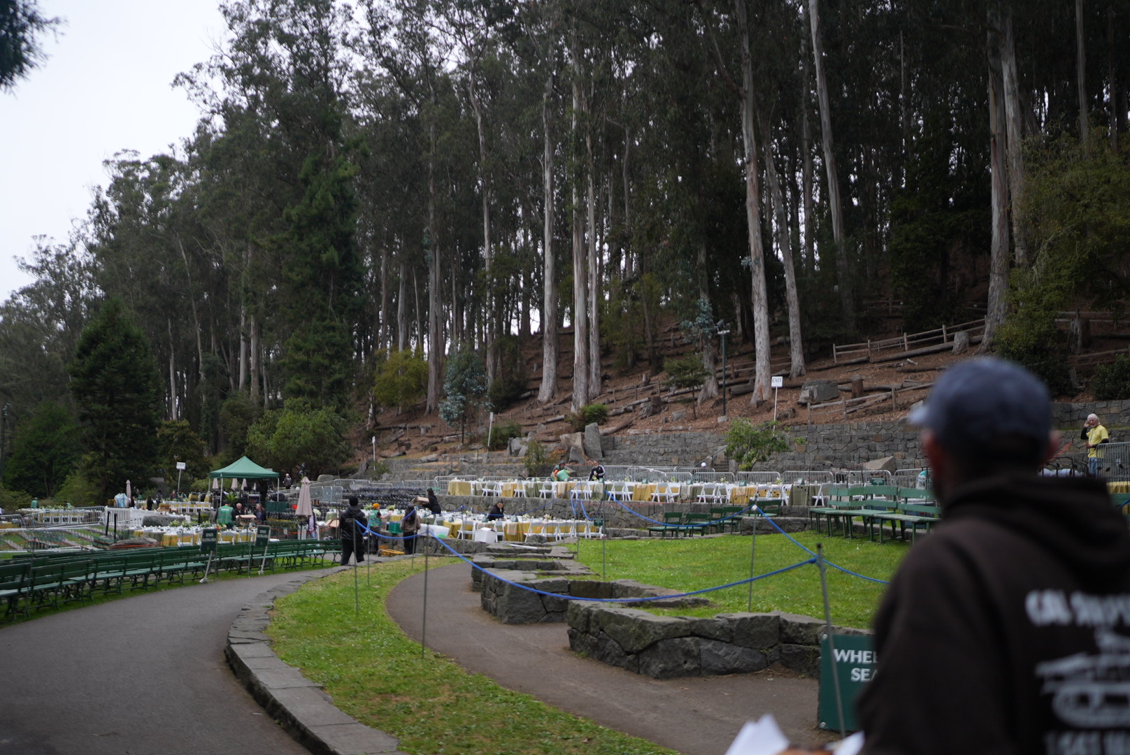 The Stern Grove grounds and seating with eucalyptus trees rising behind